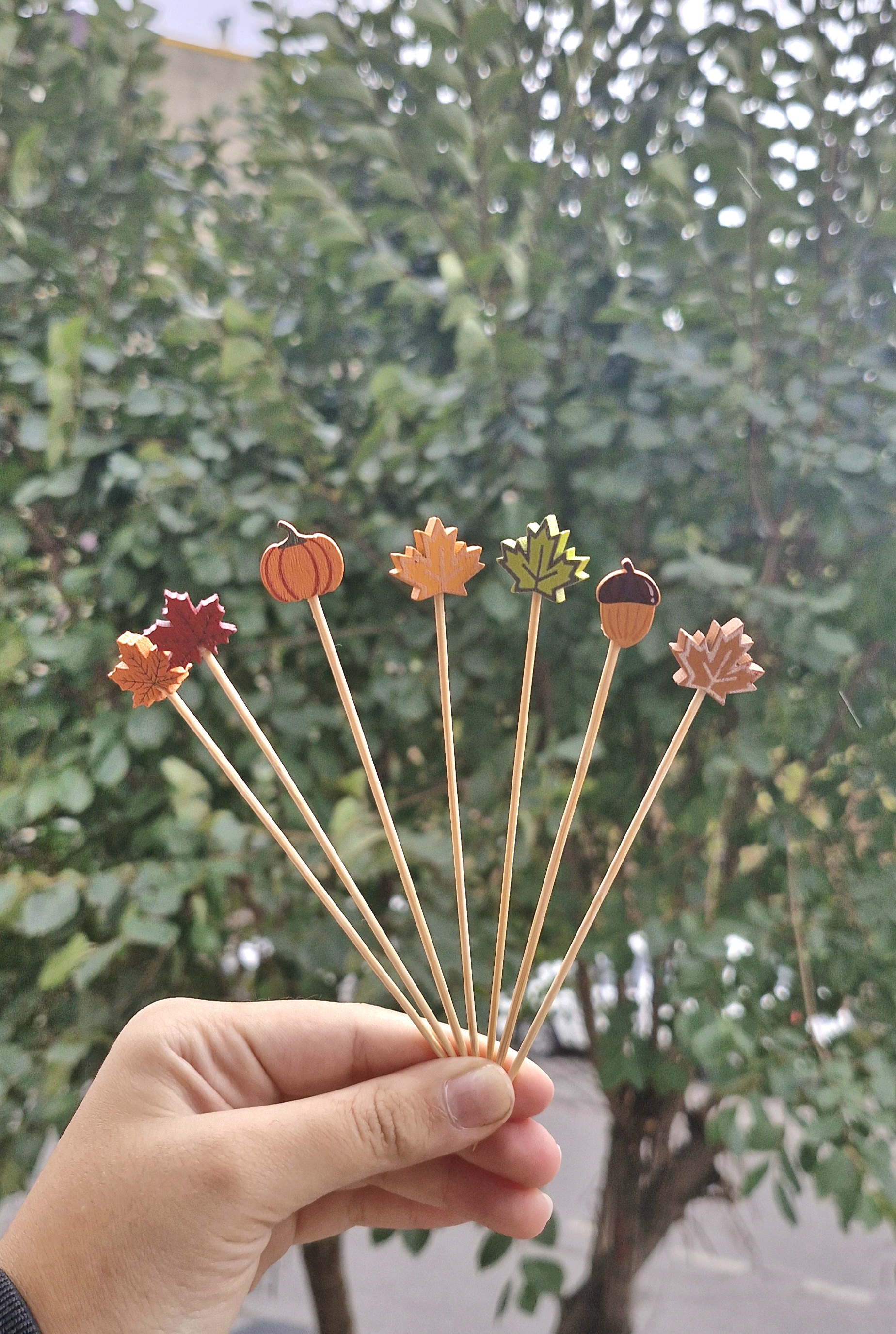 خلال پاییزی)۱۰تای